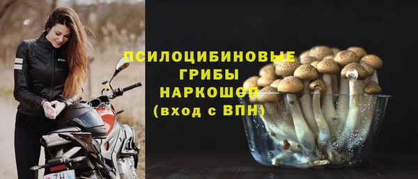 стафф Костерёво