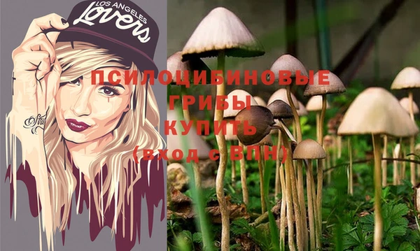 стафф Костерёво