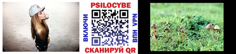 Купить где  Владикавказ  Псилоцибиновые грибы прущие грибы 